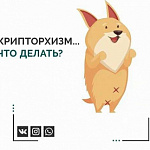 Крипторхизм у собак и кошек. Часть 1. 