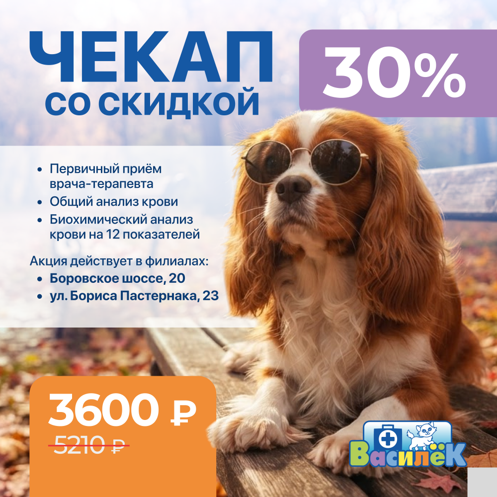 Чекап питомца со скидкой 30%